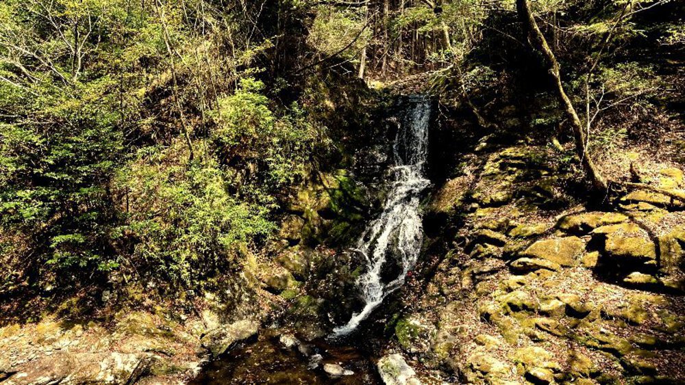 赤目四十八滝と青蓮寺ダムの写真19