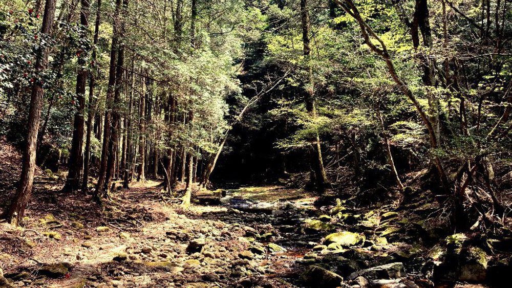 赤目四十八滝と青蓮寺ダムの写真20