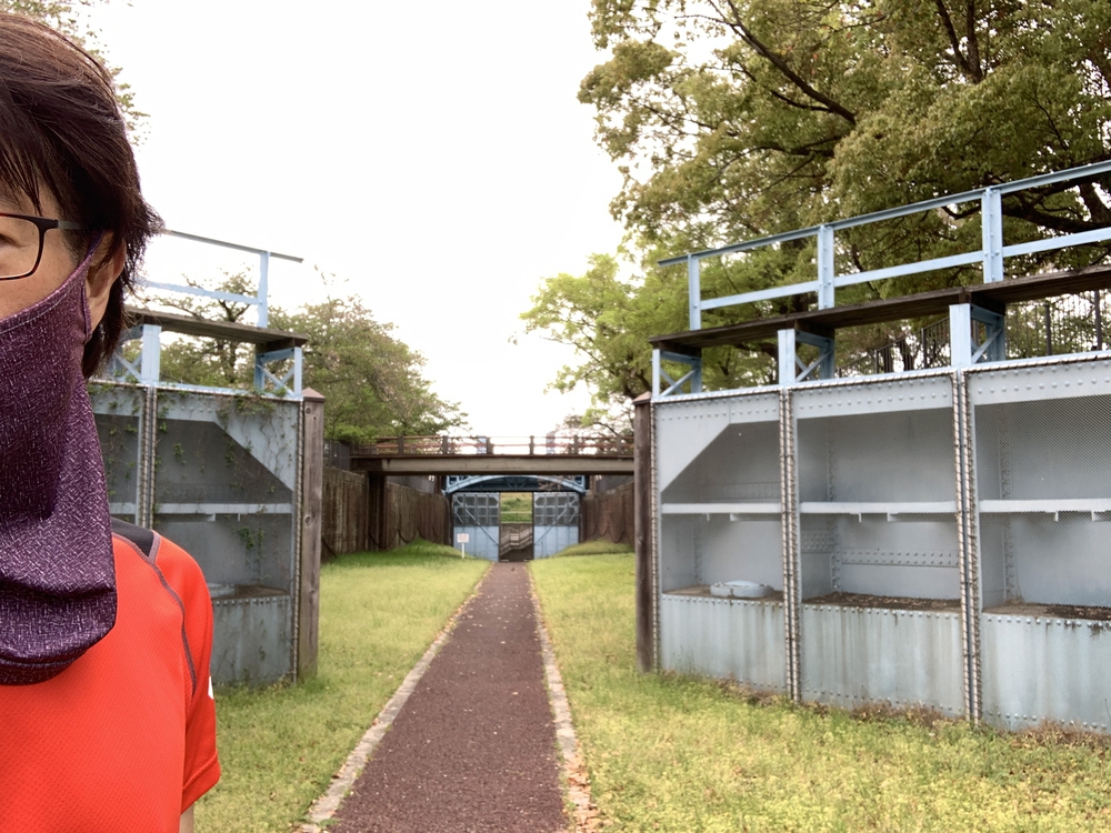 観光ジョグ：大阪／大阪城～京橋～大川～淀川～大川～大阪城の写真3