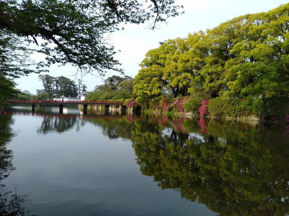 朝Run　諏訪の原公園～小田原城の写真3