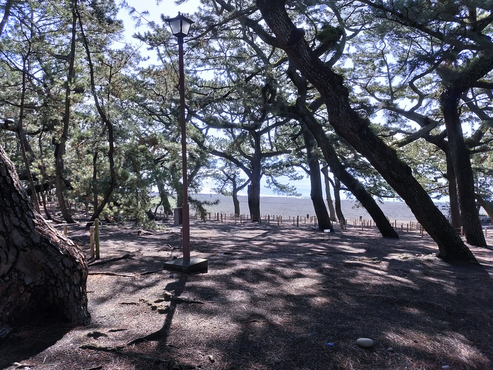 清水半島一周ランの写真4