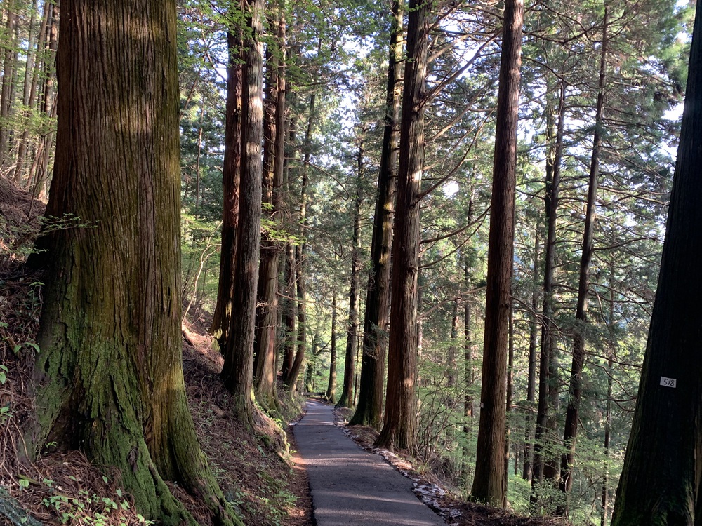 御岳山～大岳山～御前山　景色最高かよっ！の写真6