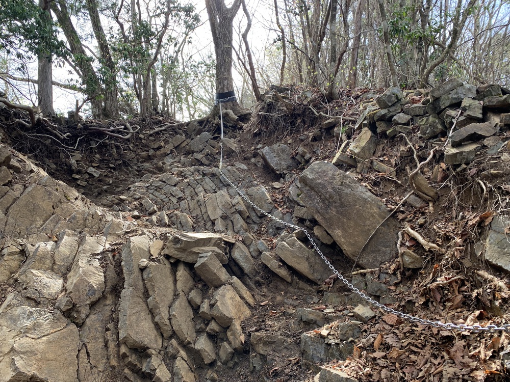 御岳山～大岳山～御前山　景色最高かよっ！の写真11