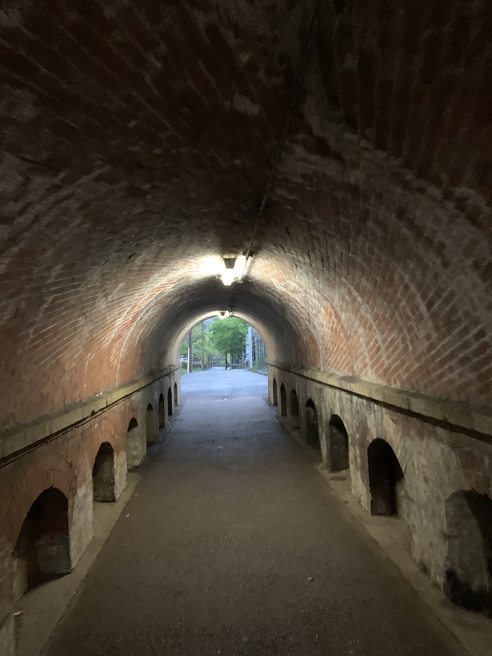 京都東山鴨川周回の写真5