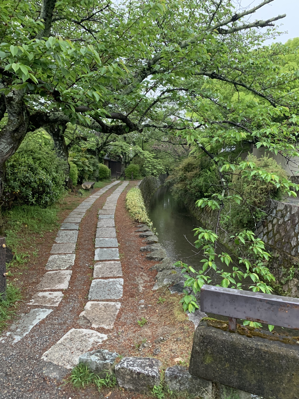 京都東山鴨川周回の写真8