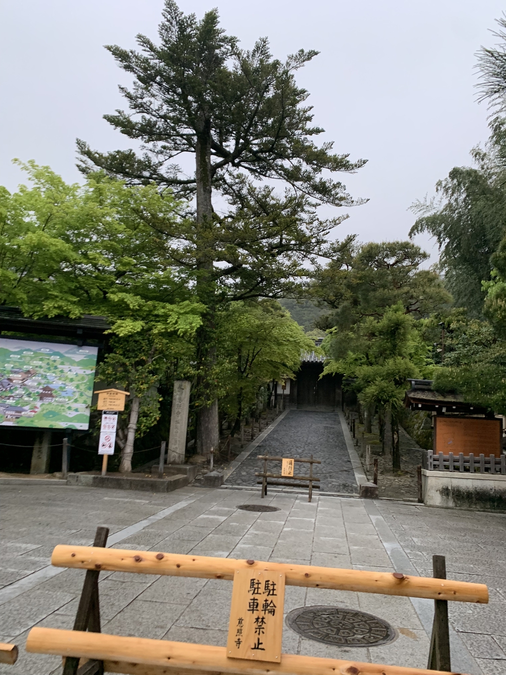 京都東山鴨川周回の写真9
