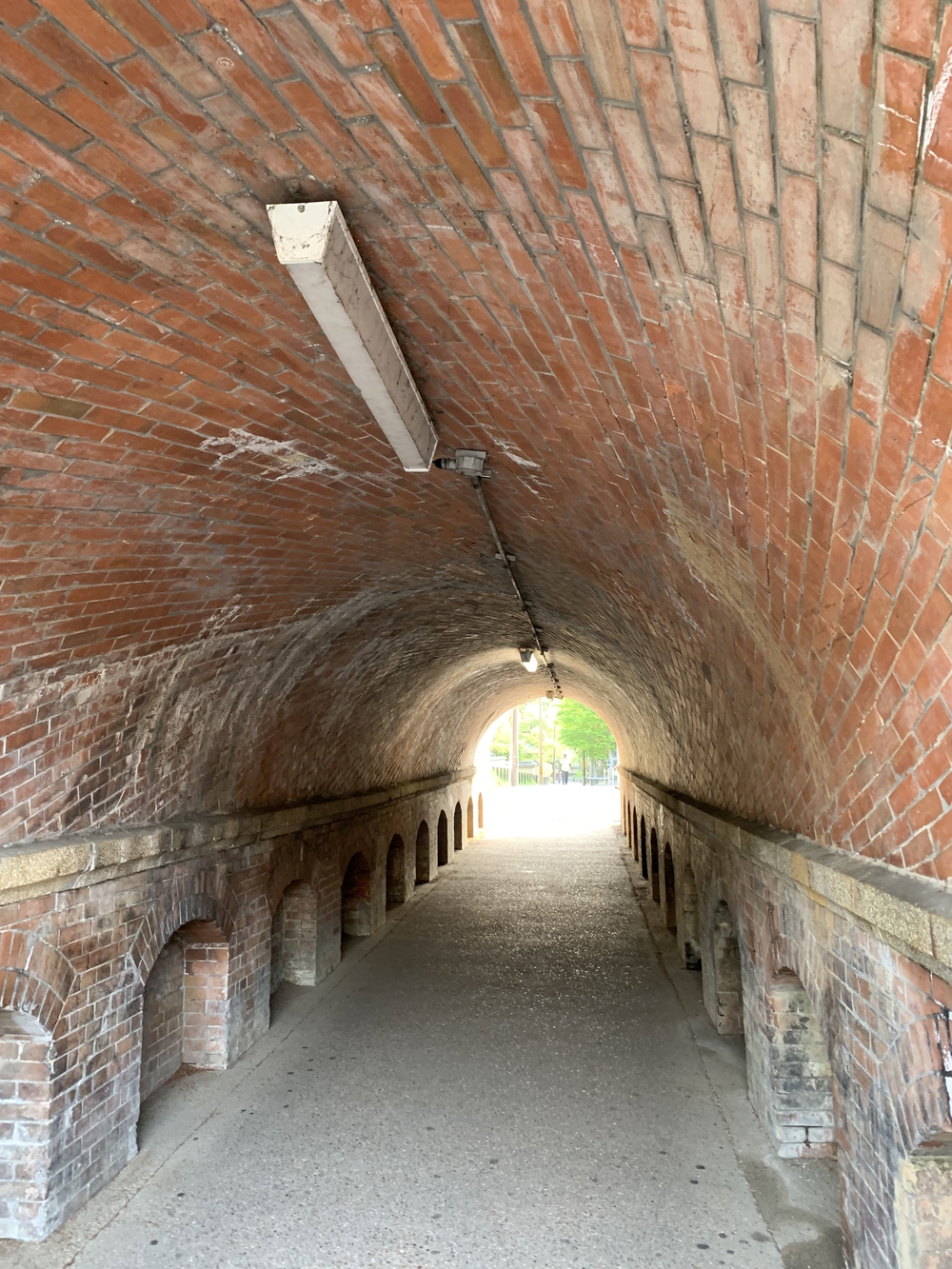 京都トレイル東山コース四条大橋〜比叡1wayの写真7