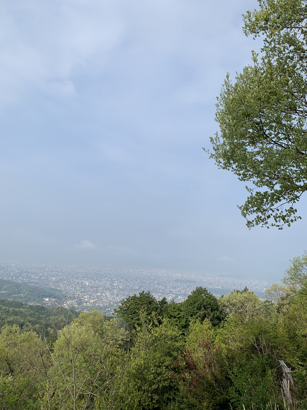 京都トレイル東山コース四条大橋〜比叡1wayの写真10