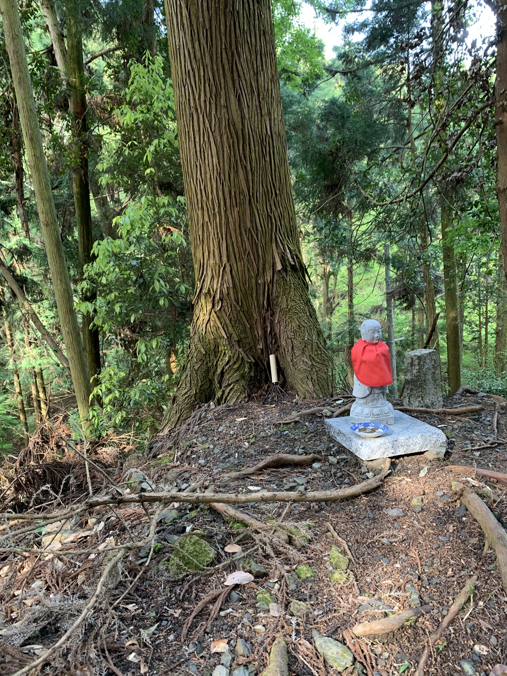 京都トレイル東山コース四条大橋〜比叡1wayの写真14