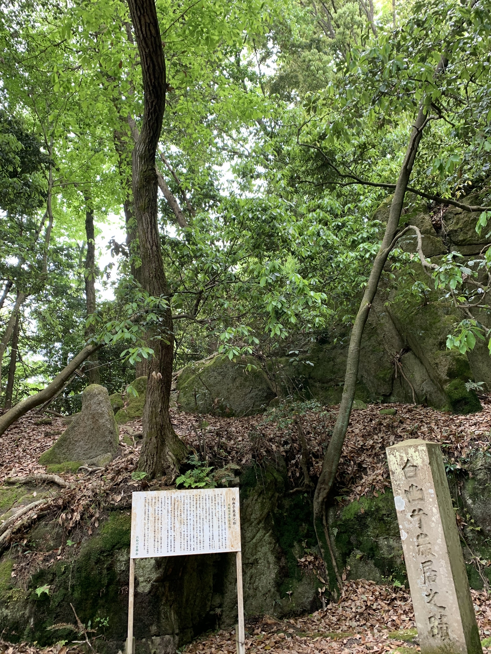 京都トレイル東山コース四条大橋〜比叡1wayの写真19