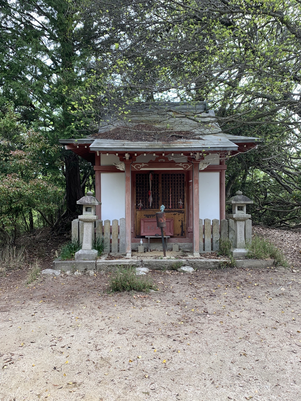 京都トレイル東山コース四条大橋〜比叡1wayの写真20