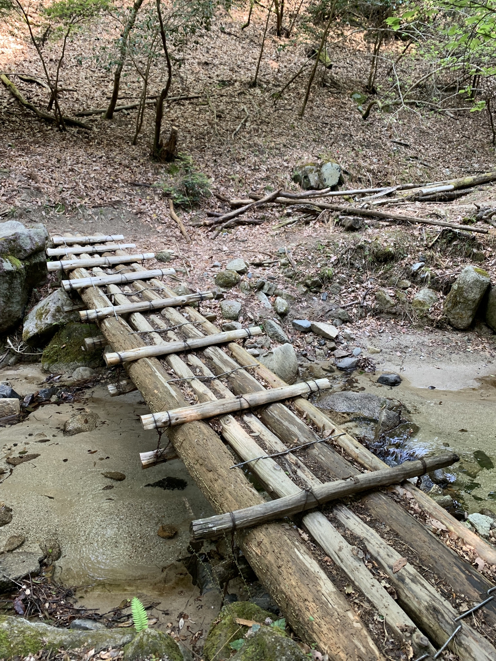 京都トレイル東山コース四条大橋〜比叡1wayの写真21
