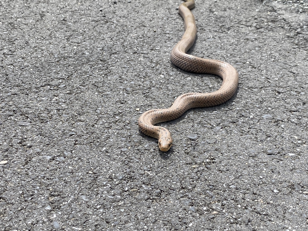 Run&Camp@千倉の写真3