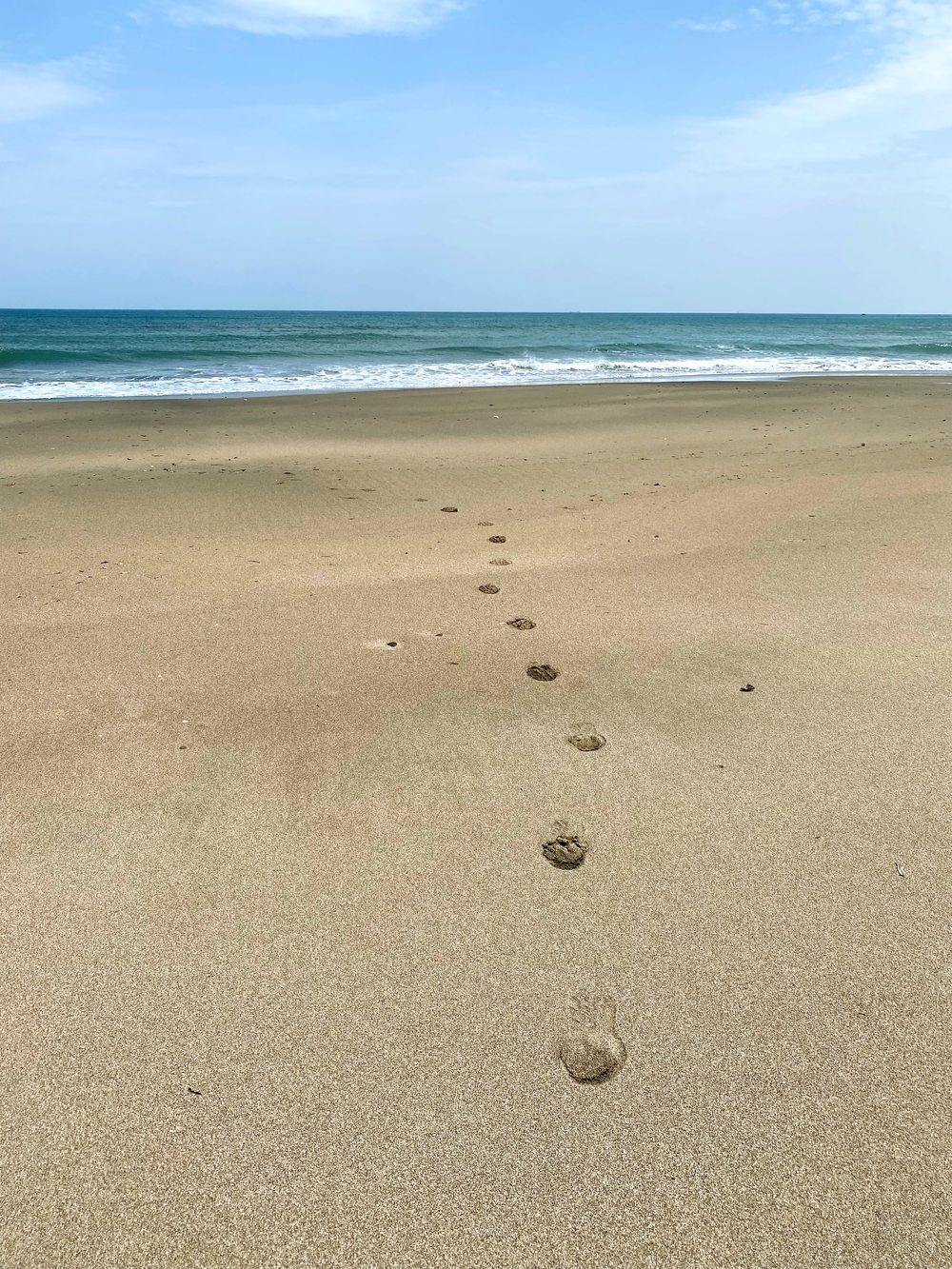 Run&Camp@千倉の写真5