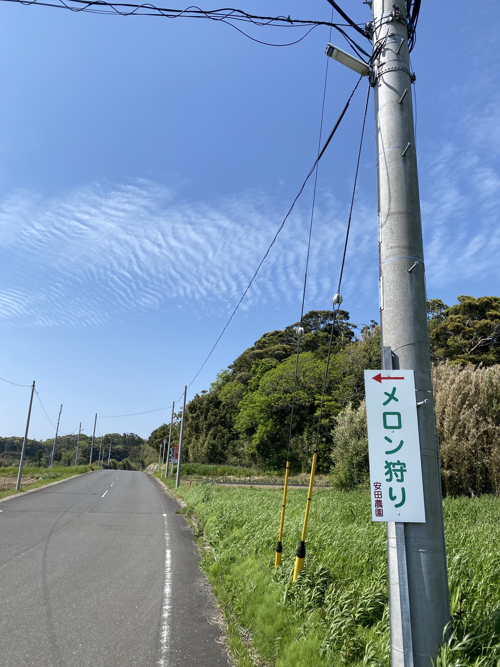 Run&Camp@千倉の写真8