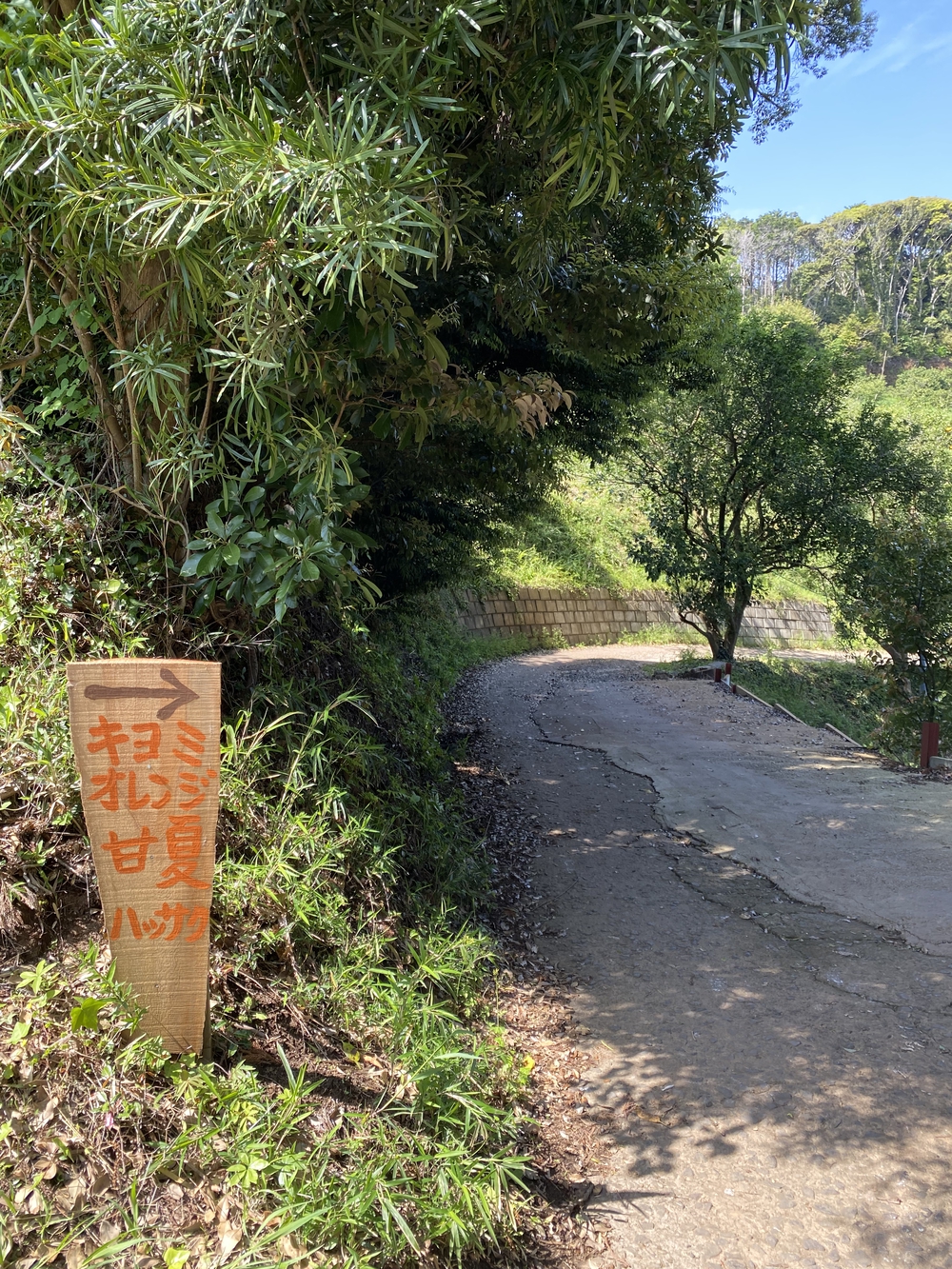 Run&Camp@千倉の写真9