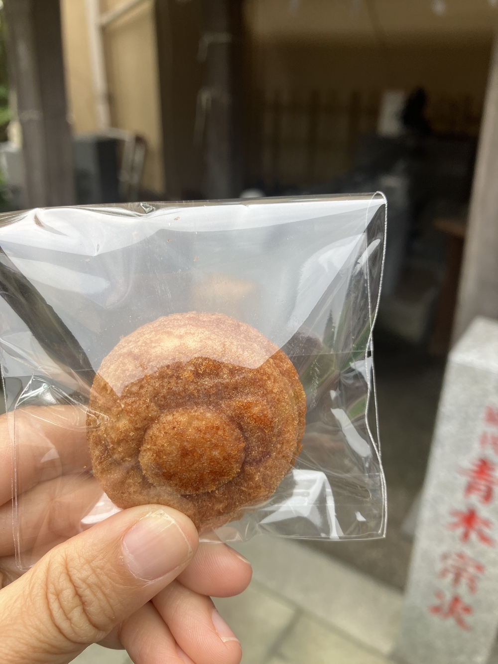 神奈川横浜寺社 御朱印集めラン 菊名神社〜弘明寺の写真4