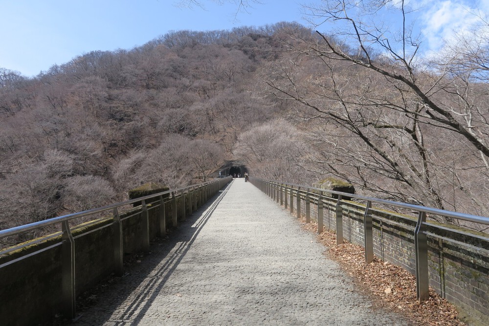碓氷峠アプトの道と中山道ランの写真7