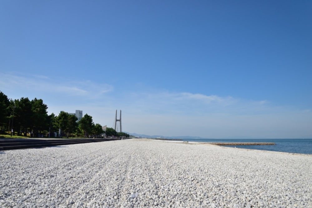 緑と青のコントラストが美しい「りんくう公園」の写真3