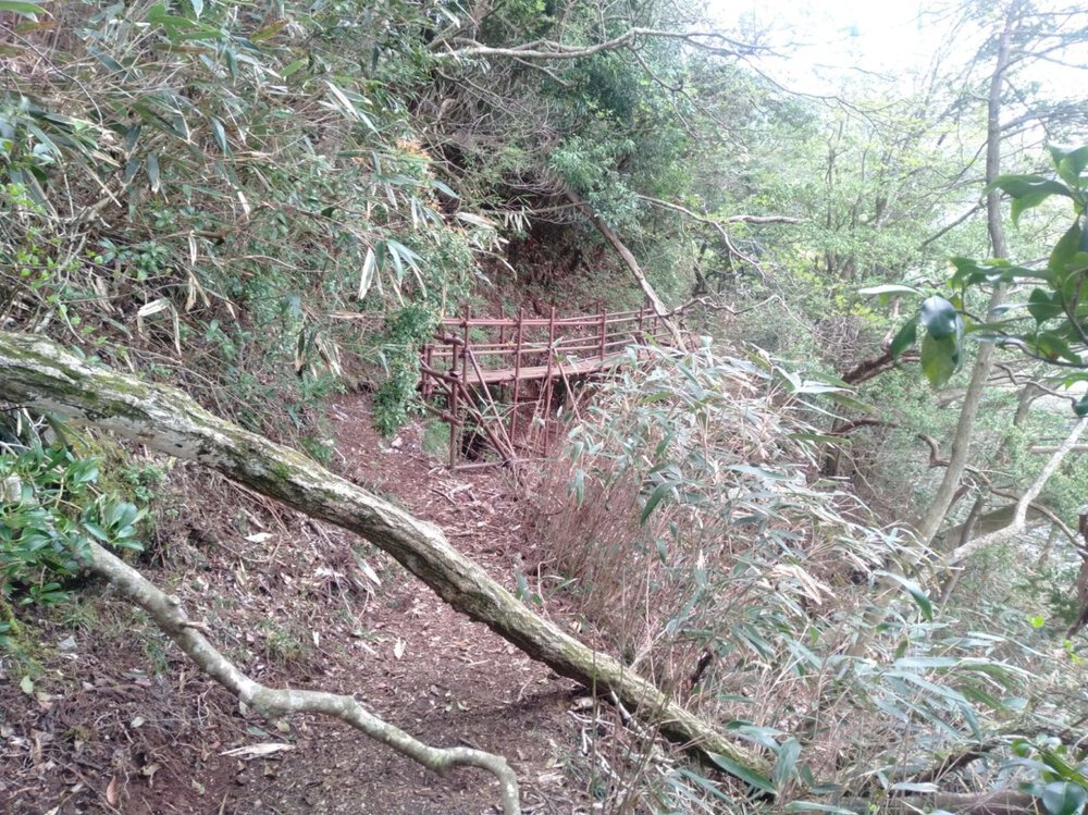 箱根 芦ノ湖 一周Runの写真3