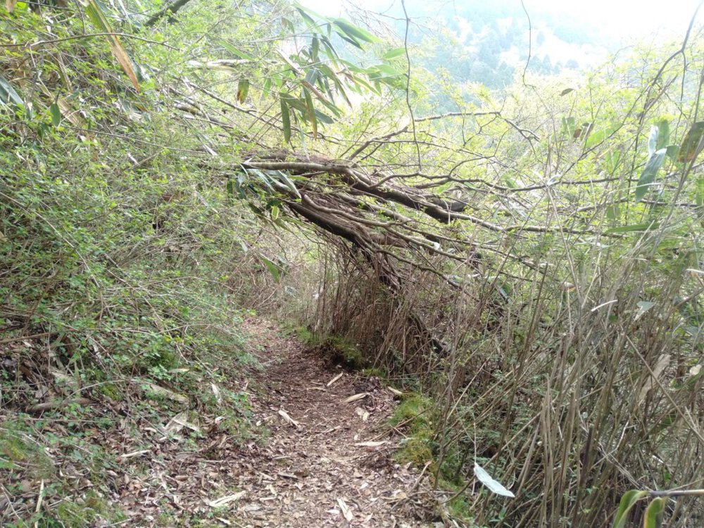 箱根 芦ノ湖 一周Runの写真4