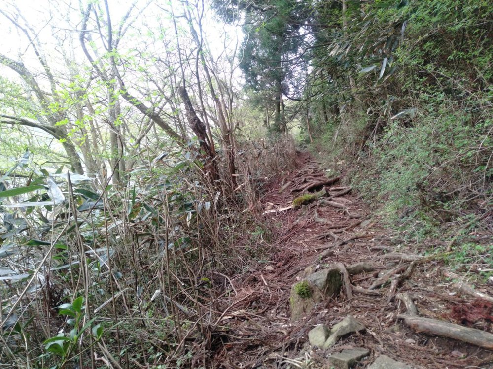 箱根 芦ノ湖 一周Runの写真5