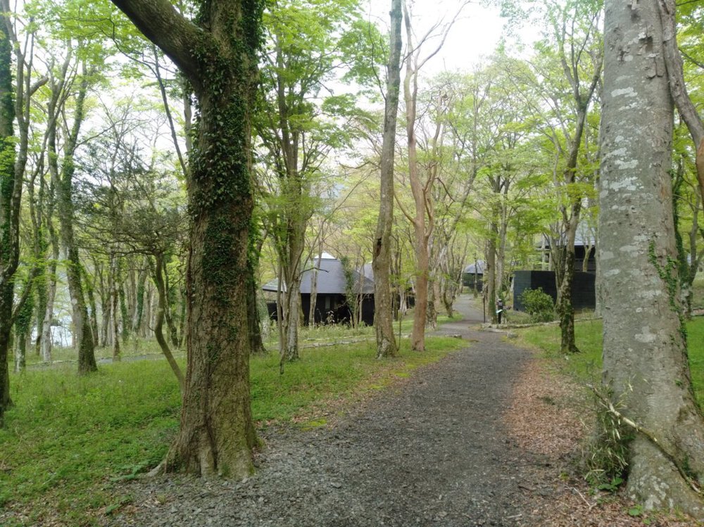 箱根 芦ノ湖 一周Runの写真6