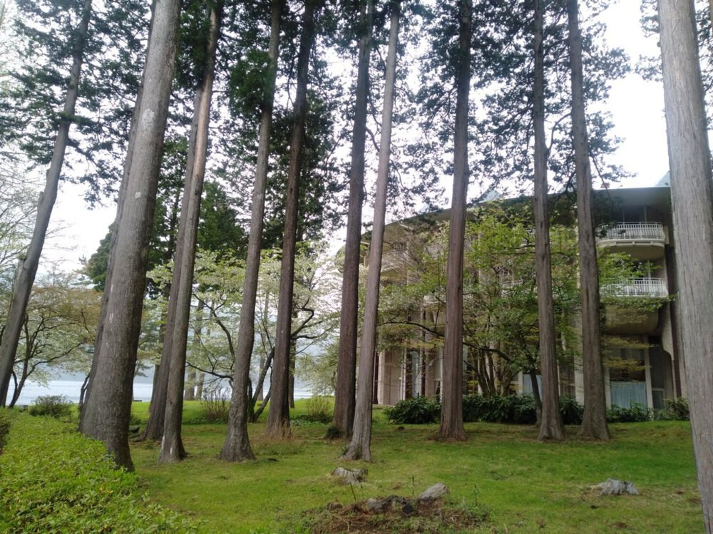 箱根 芦ノ湖 一周Runの写真8