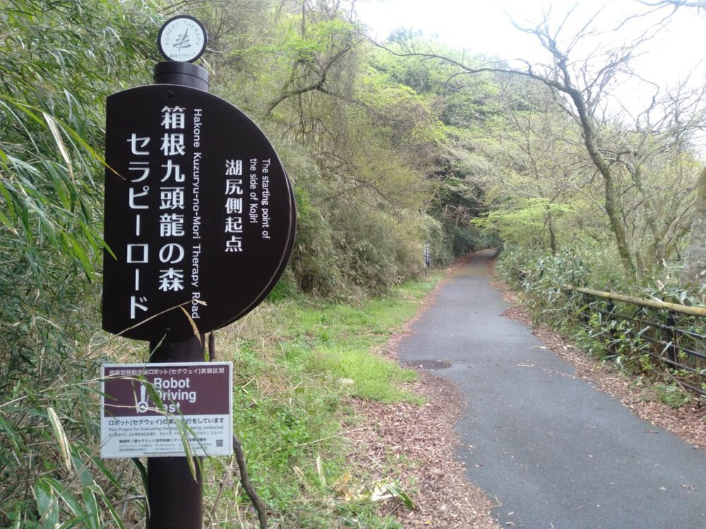 箱根 芦ノ湖 一周Runの写真12