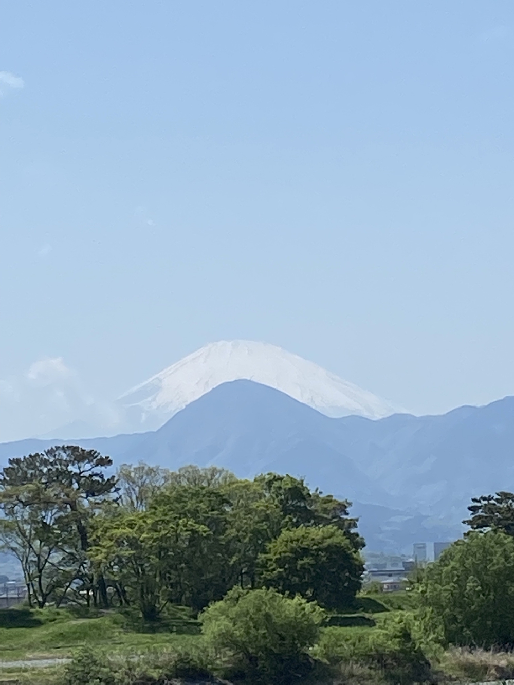 酒匂川河口〜松田山　ネモフィラの旅の写真3