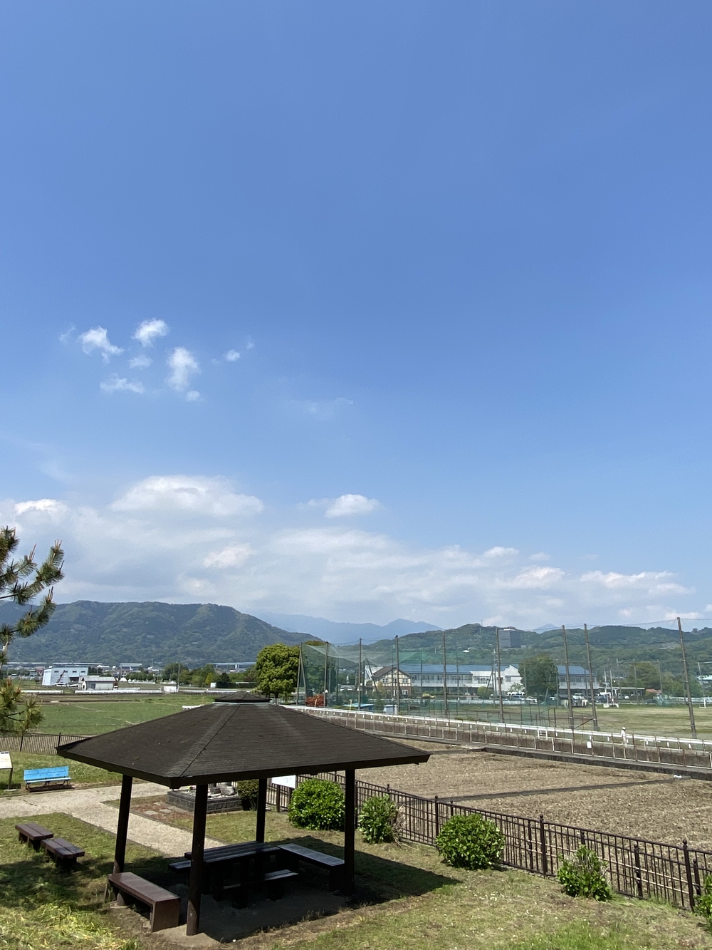 酒匂川河口〜松田山　ネモフィラの旅の写真4