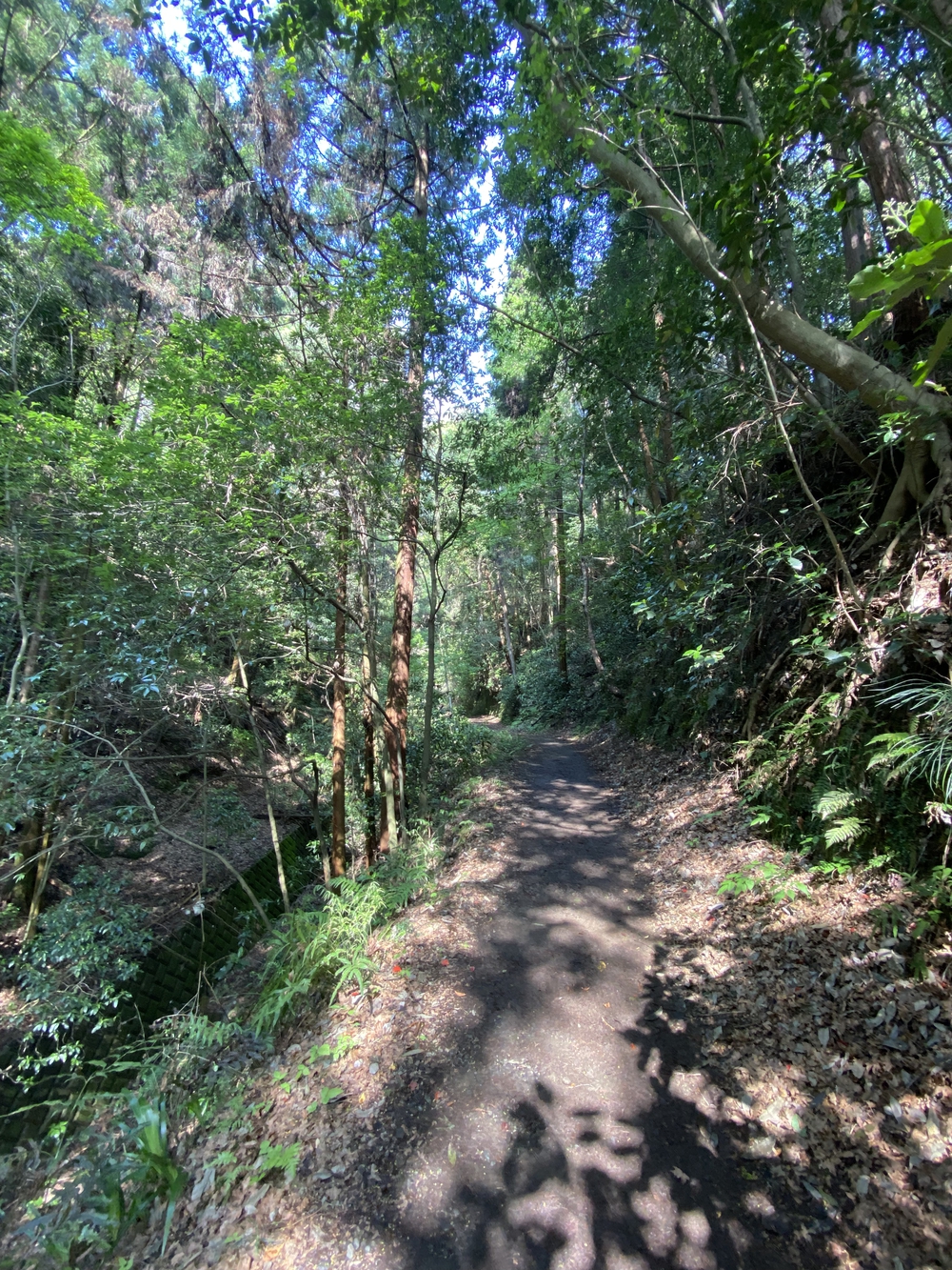 酒匂川河口〜松田山　ネモフィラの旅の写真10