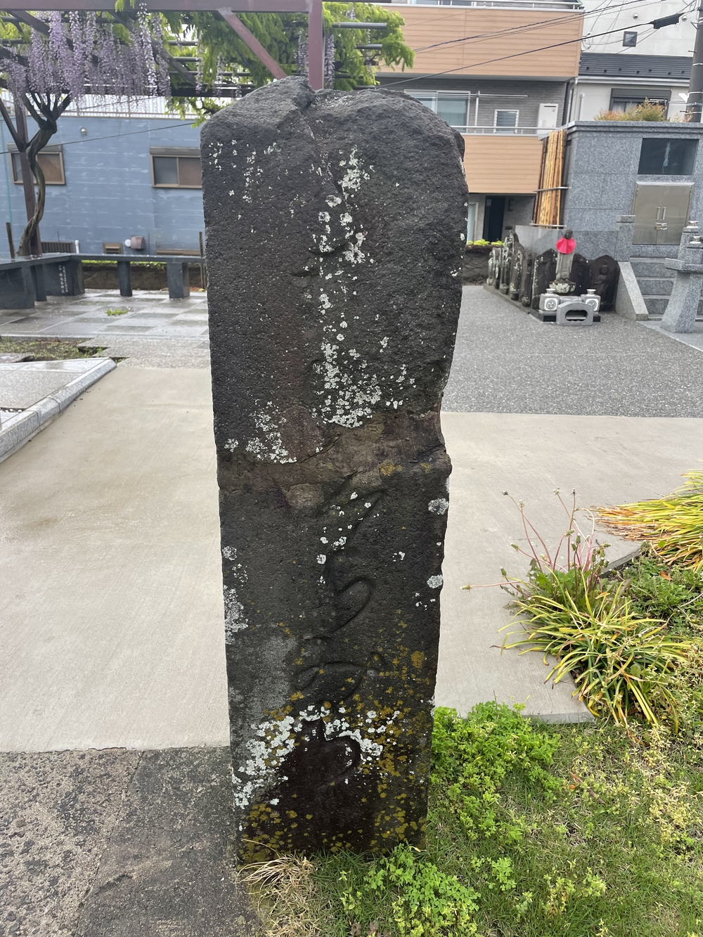 歌川広重と共にRUN 戸塚の写真3