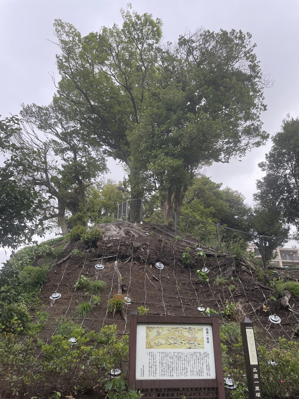 歌川広重と共にRUN 戸塚の写真5