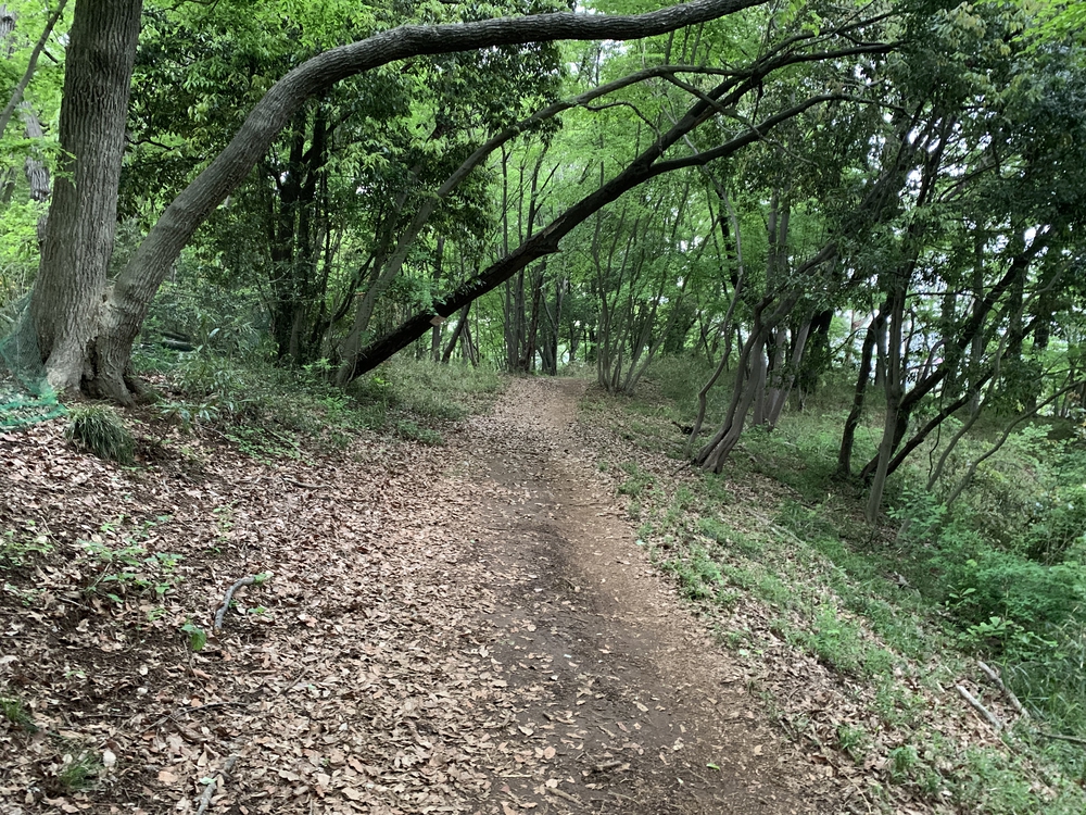 戦国の名城 滝山城を攻める！の写真7
