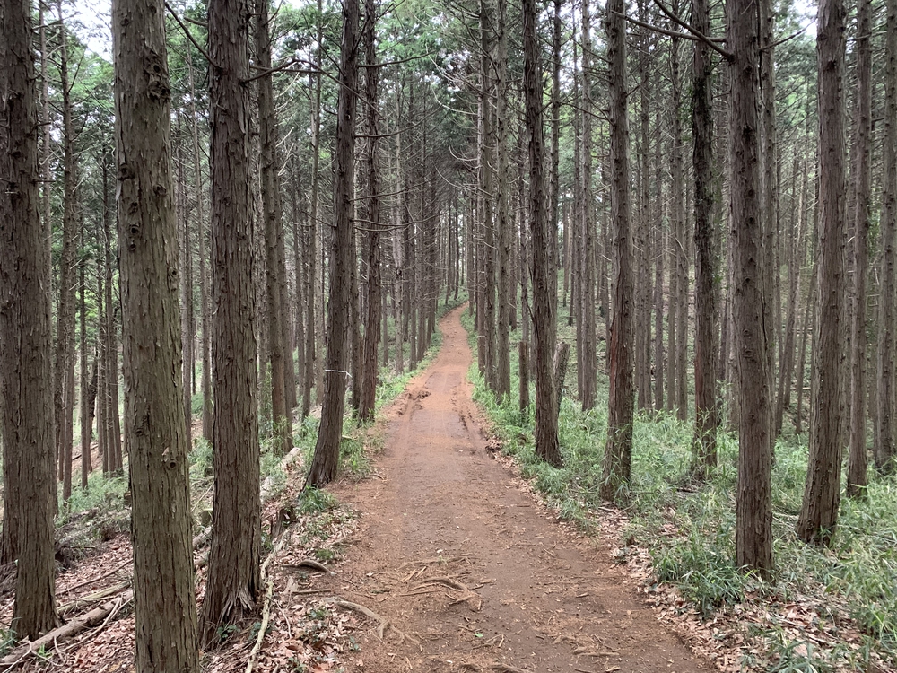 戦国の名城 滝山城を攻める！の写真8