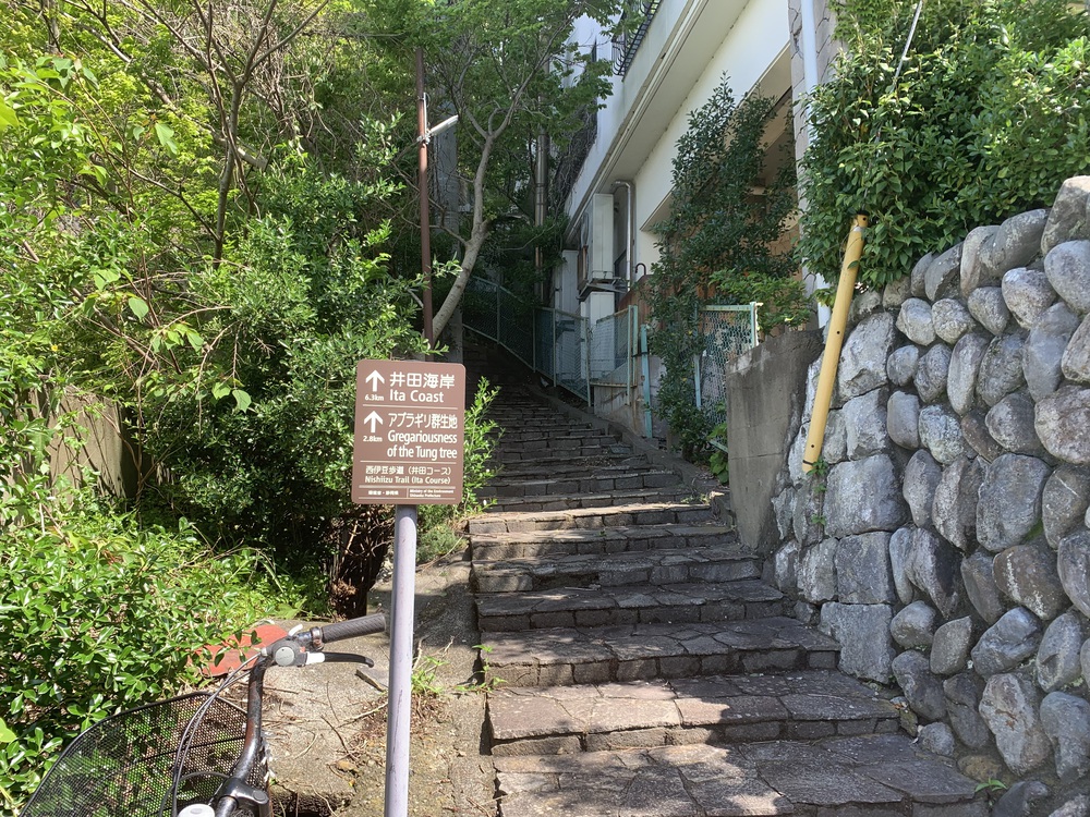 西伊豆歩道 井田コースと大瀬崎コースの写真4