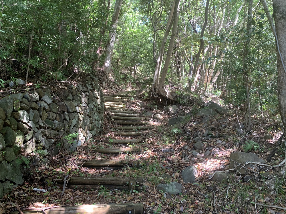 西伊豆歩道 井田コースと大瀬崎コースの写真5