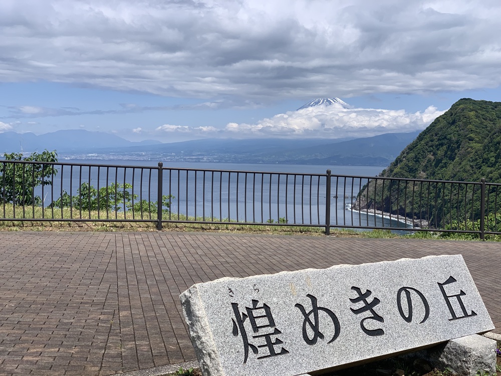 西伊豆歩道 井田コースと大瀬崎コースの写真7