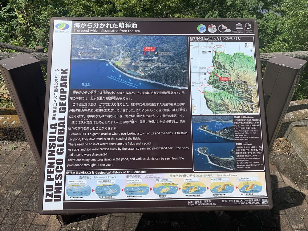 西伊豆歩道 井田コースと大瀬崎コースの写真8