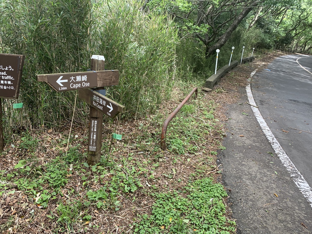 西伊豆歩道 井田コースと大瀬崎コースの写真9