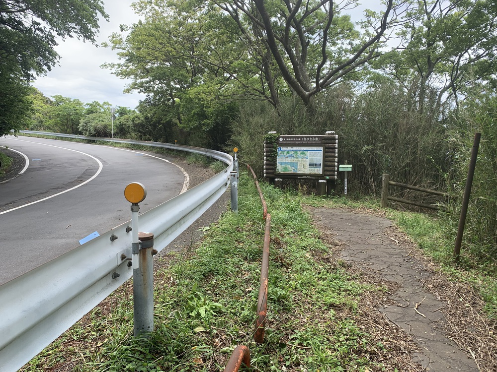 西伊豆歩道 井田コースと大瀬崎コースの写真10