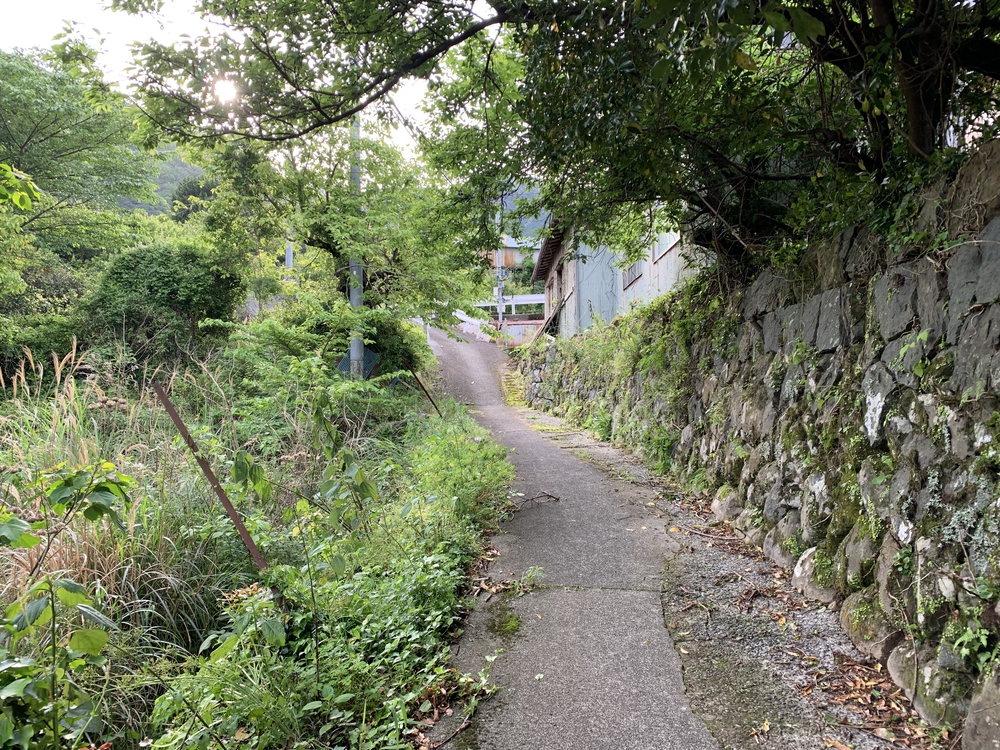 戸田峠越え 戸田～だるま山高原レストハウスの写真4