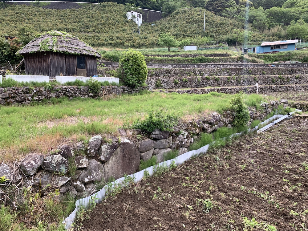 戸田峠越え 戸田～だるま山高原レストハウスの写真6