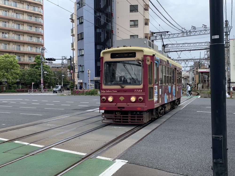 いざ上野寛永寺！の写真5