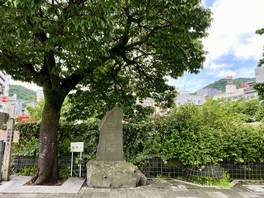 熱海温泉ほかほかランの写真8