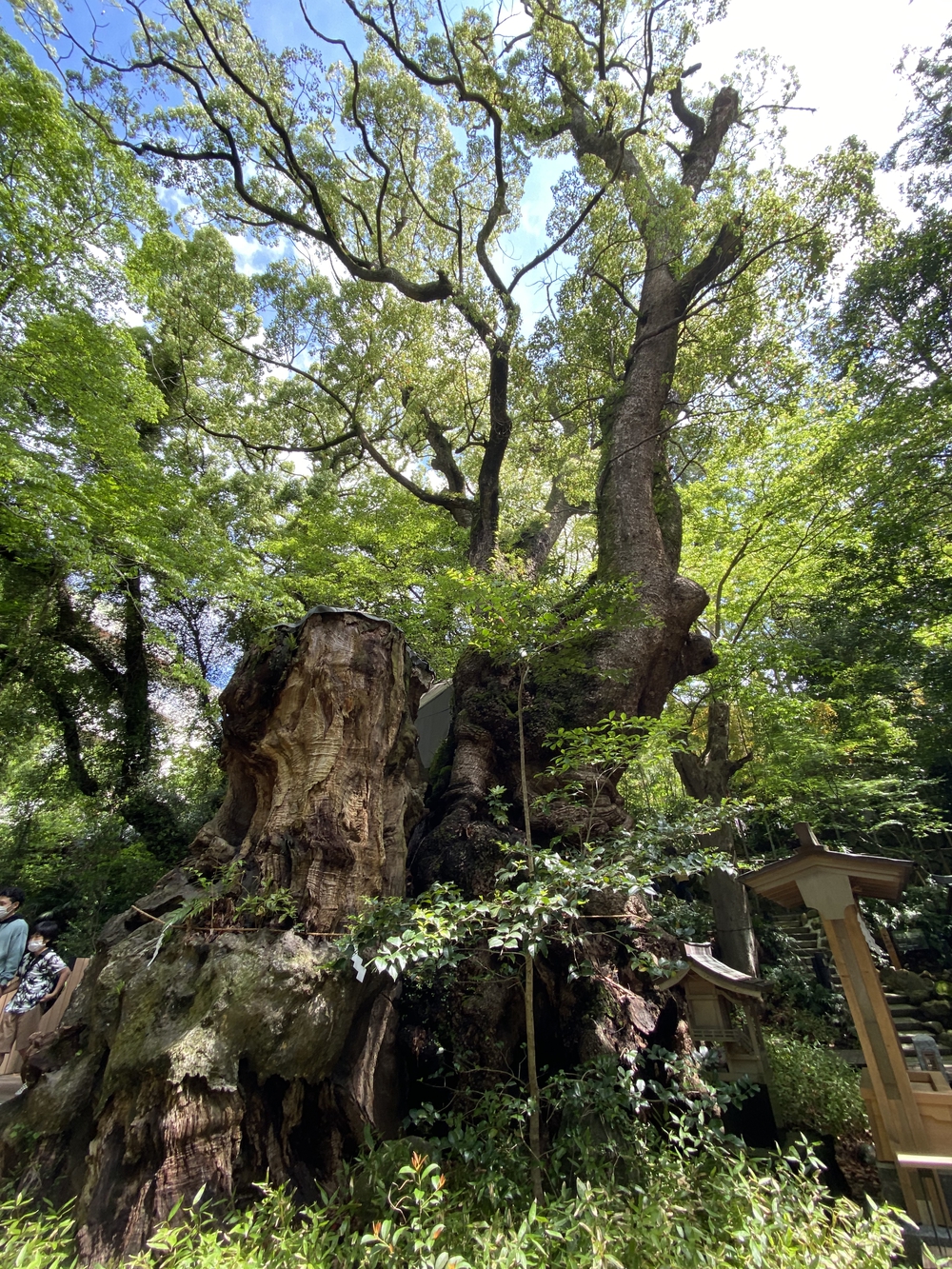 熱海温泉ほかほかランの写真15