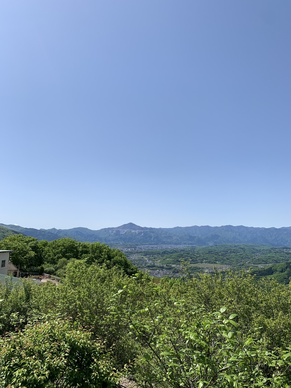 【トレイル】長瀞アルプス宝登山1wayの写真4