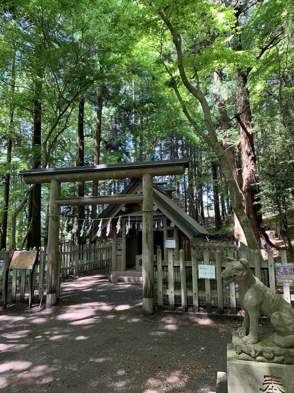 【トレイル】長瀞アルプス宝登山1wayの写真5