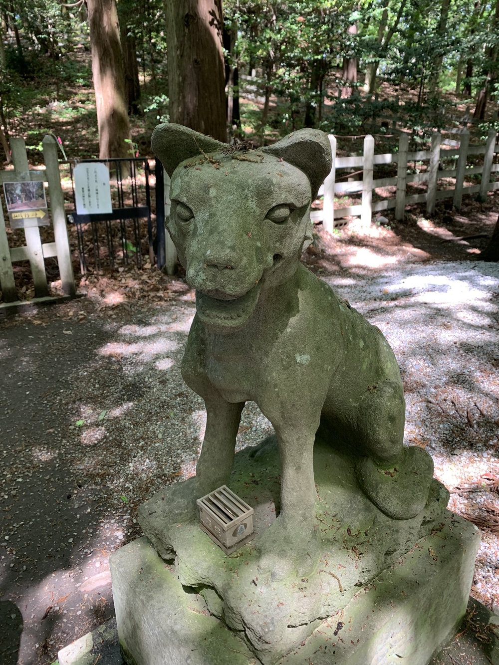 【トレイル】長瀞アルプス宝登山1wayの写真6